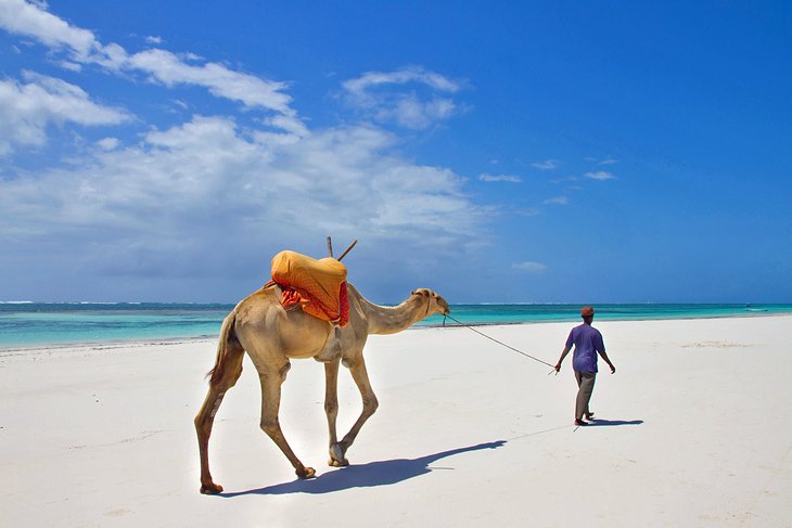 Diani kenya