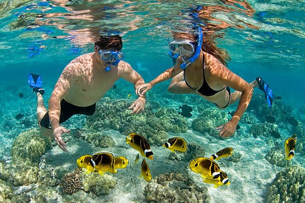 Underwater Wonders: Snorkeling Tour at Mnemba Island