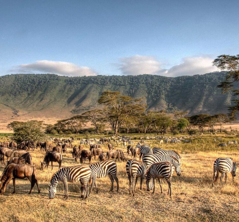 Safari tanzania